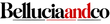 Belluciandco